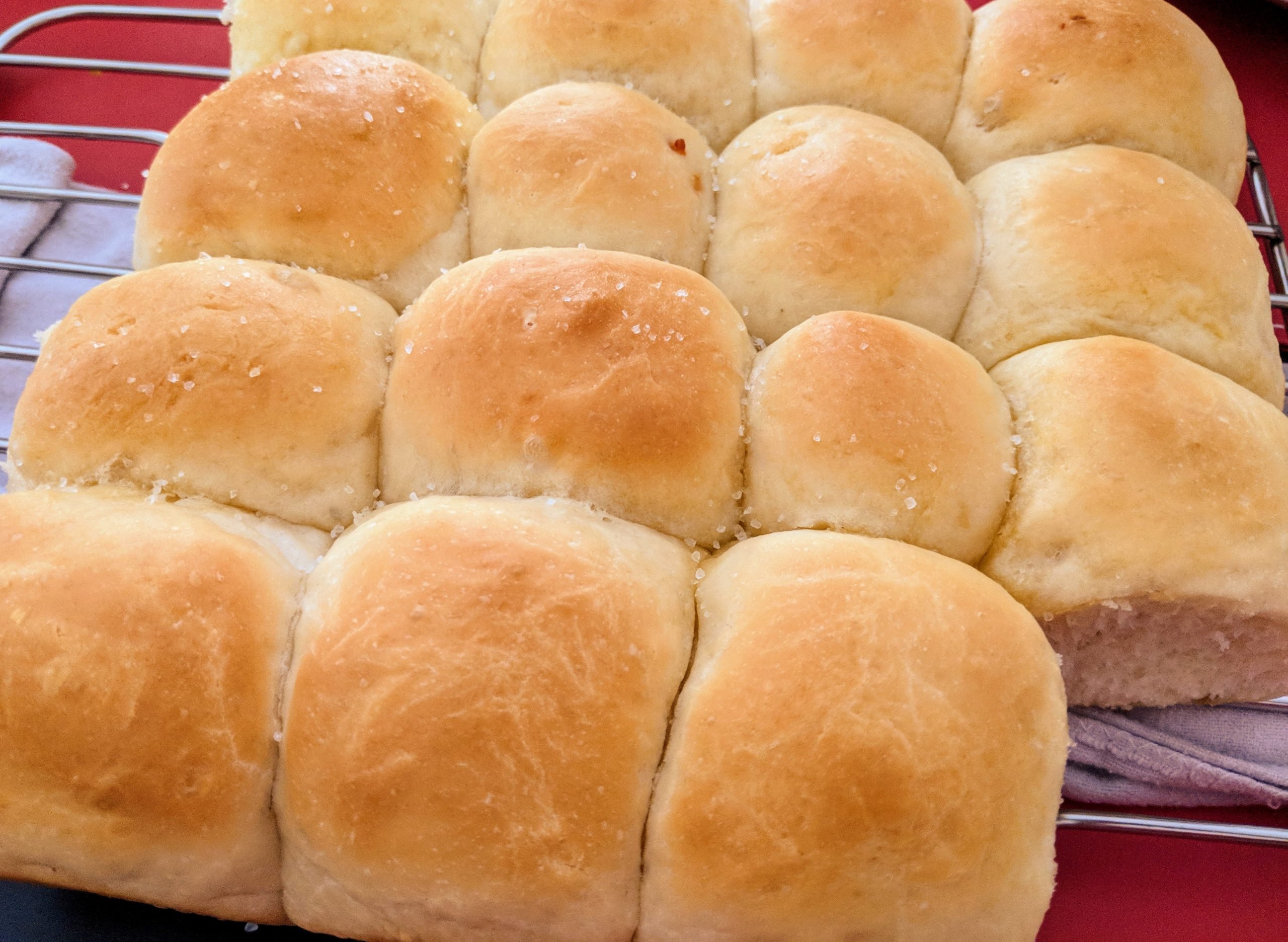 Soft Buttery Rolls